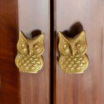 The Gold Screech Owl