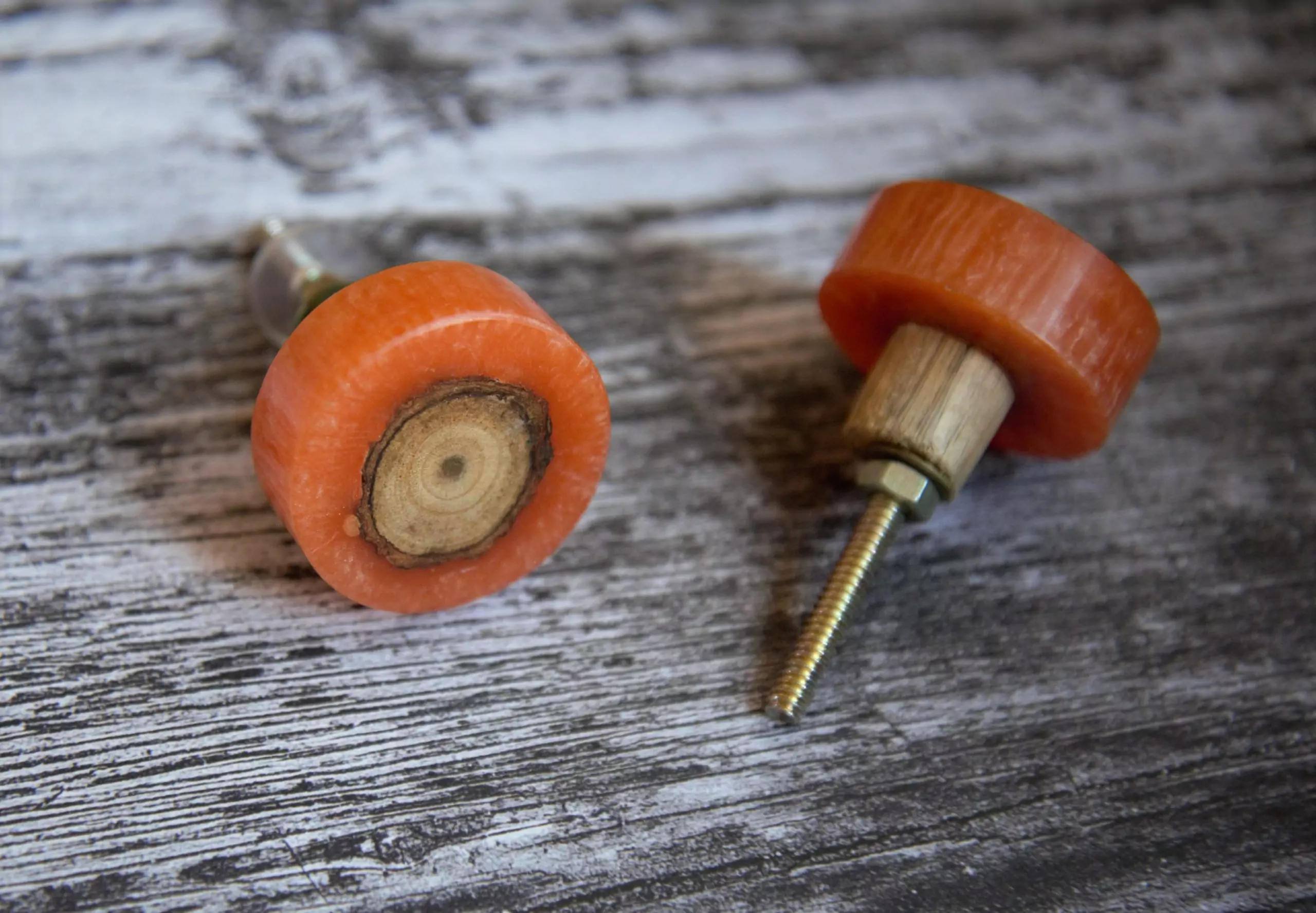 The Orange Wooden Knot Burnt Orange Round Cabinet Knob