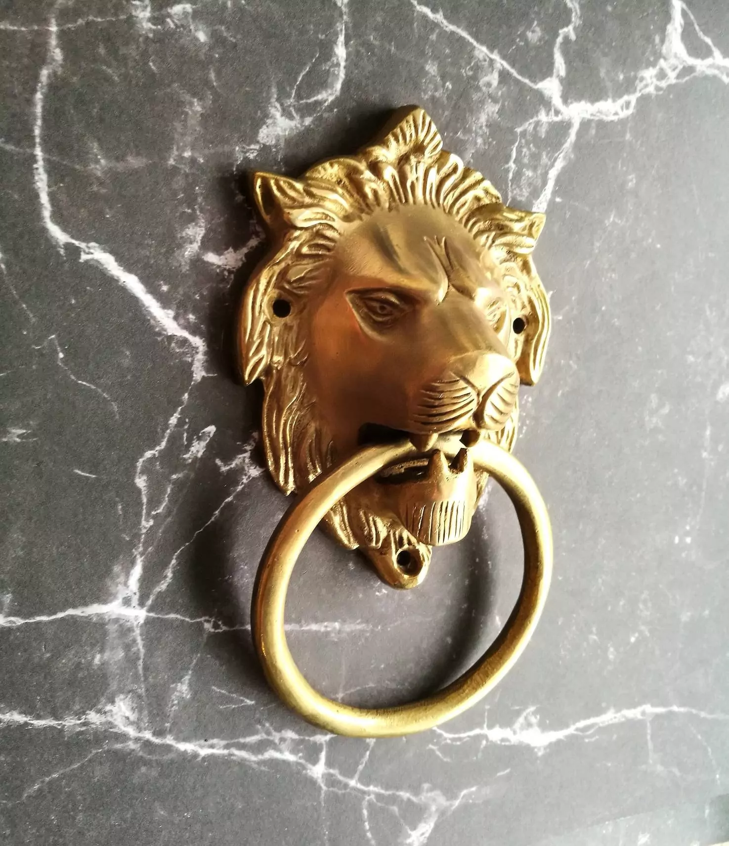 The Brass Lions Head Knocker