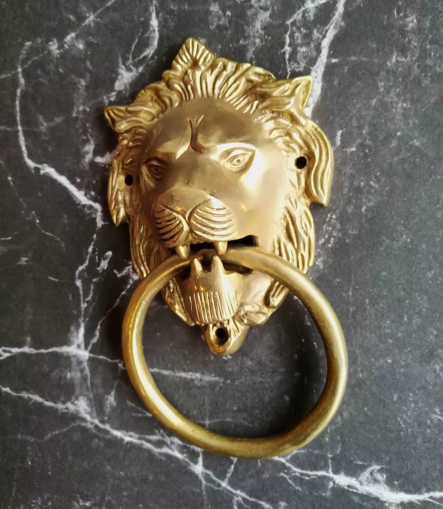 The Brass Lions Head Knocker