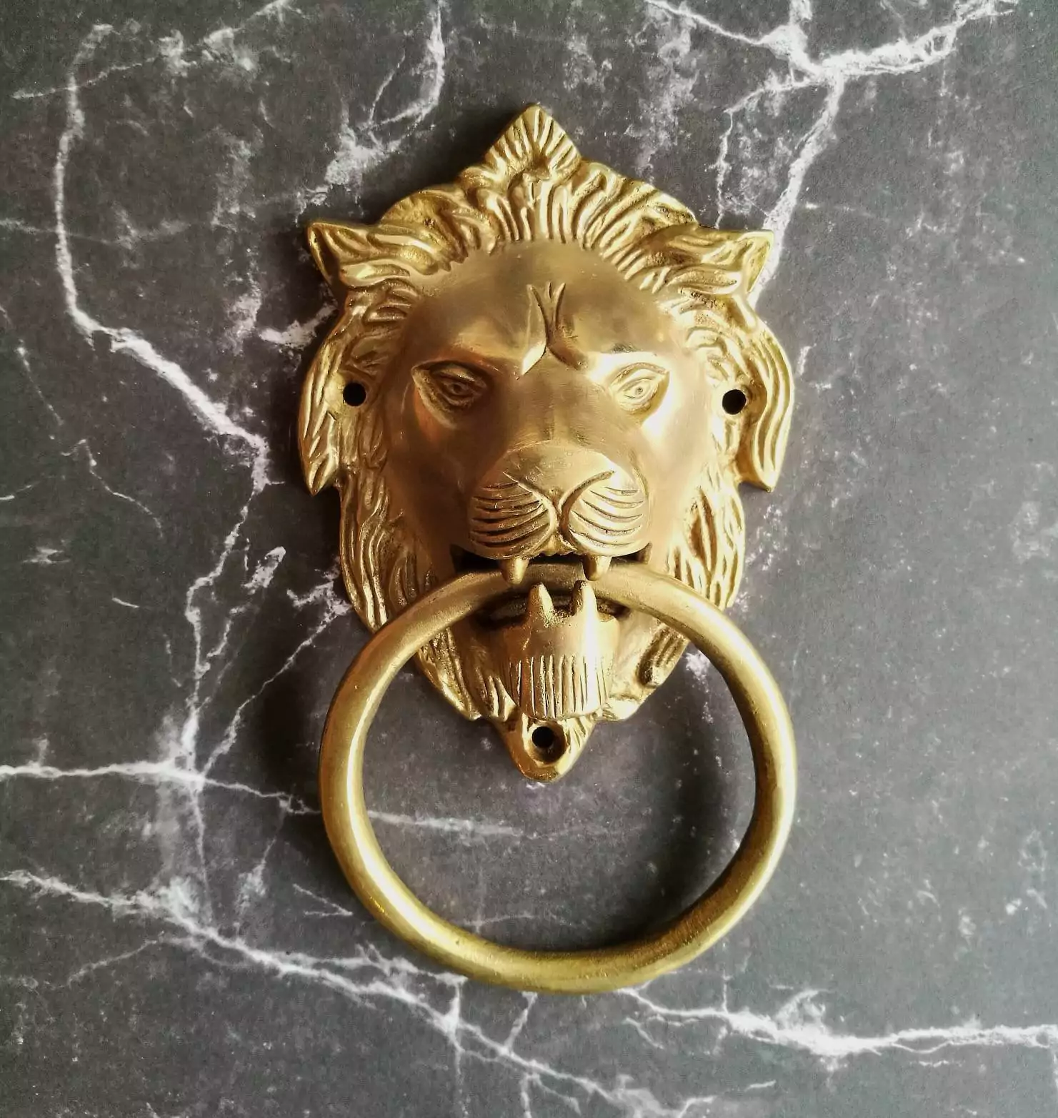 The Brass Lions Head Knocker