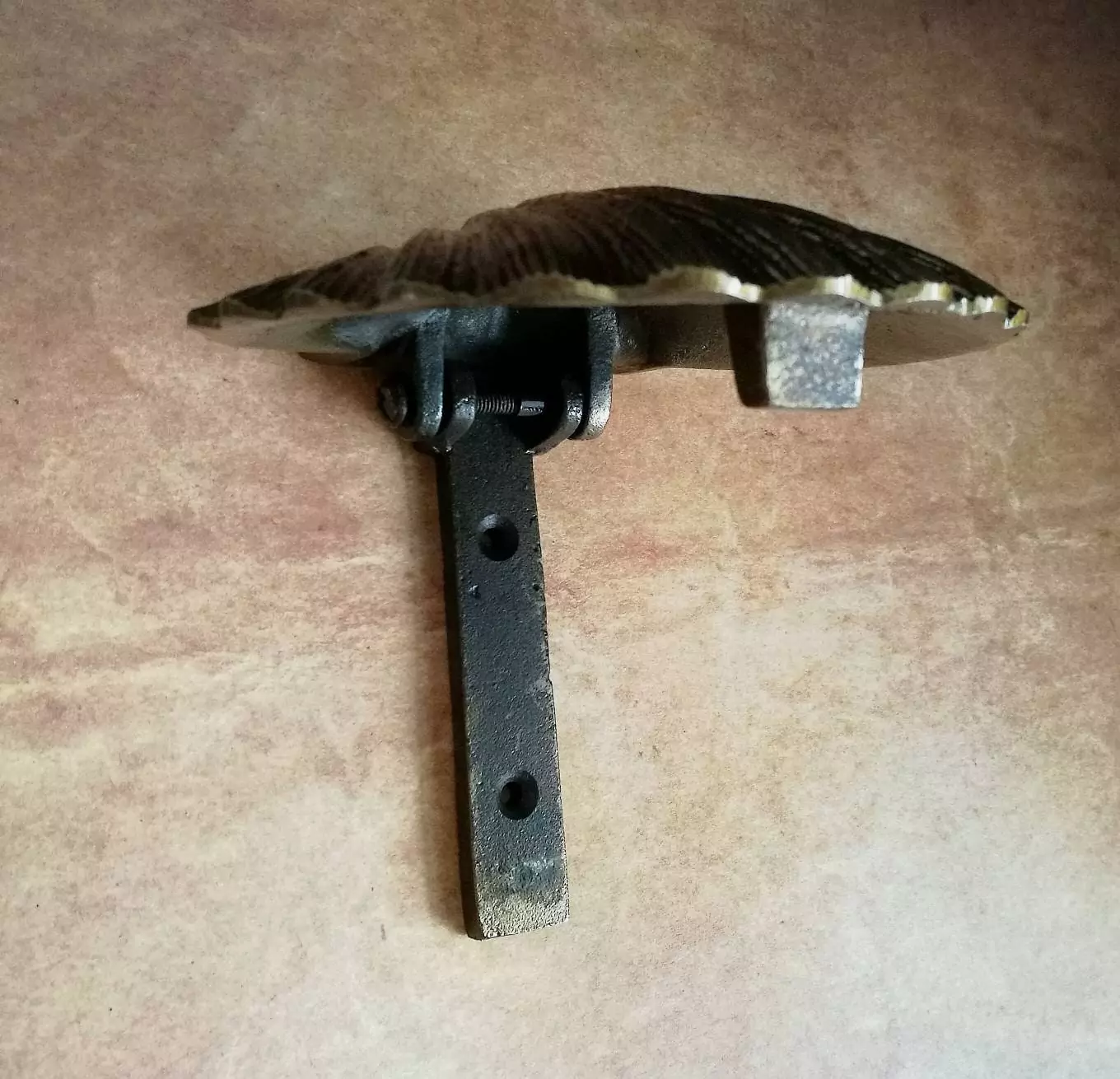 The Bronze Scallop Shell Knocker