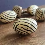 The Oval Zebra