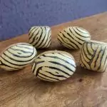 The Oval Zebra