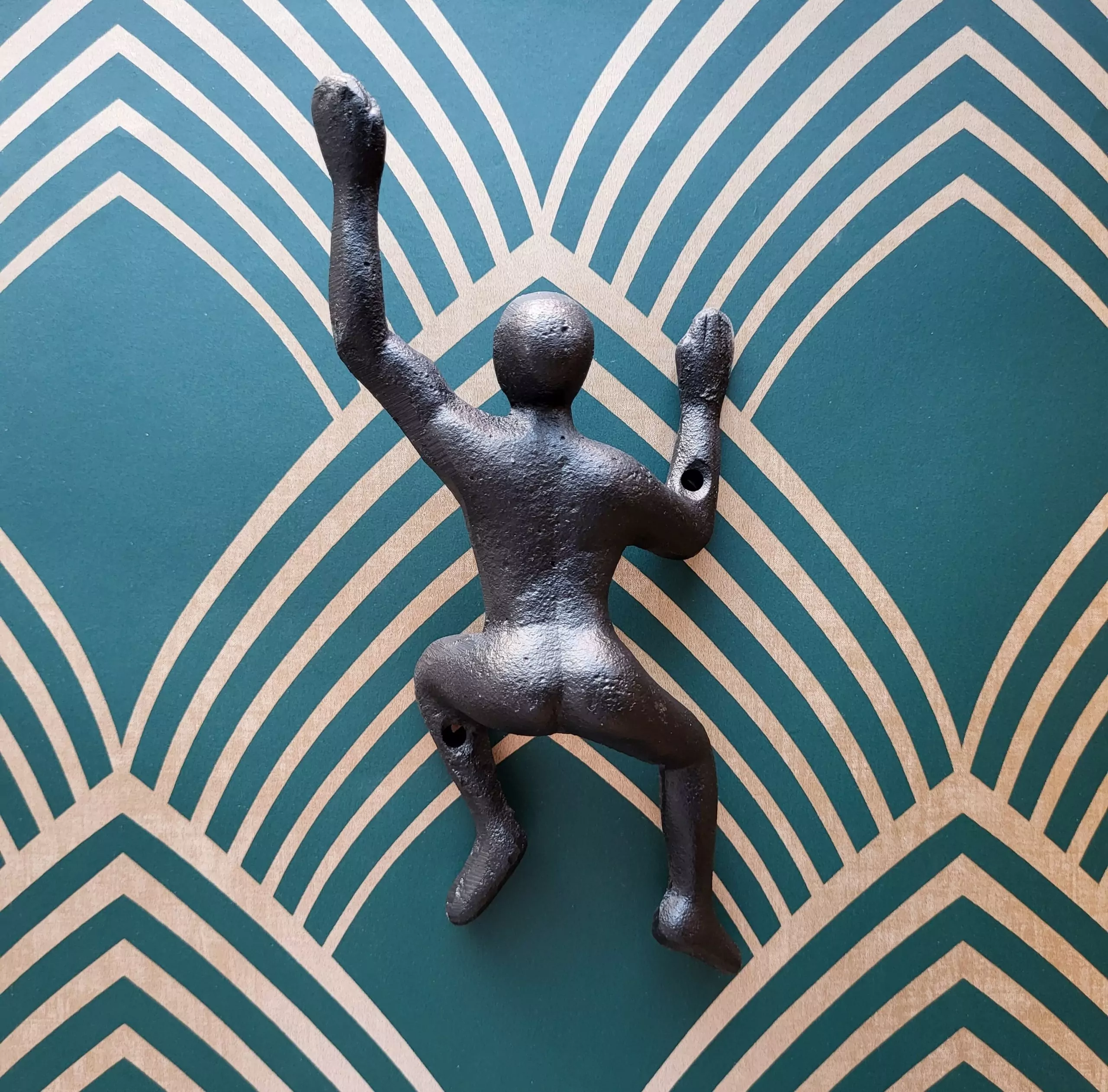 The Climber Hook