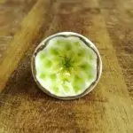 lime green crackle glaze ceramic knob